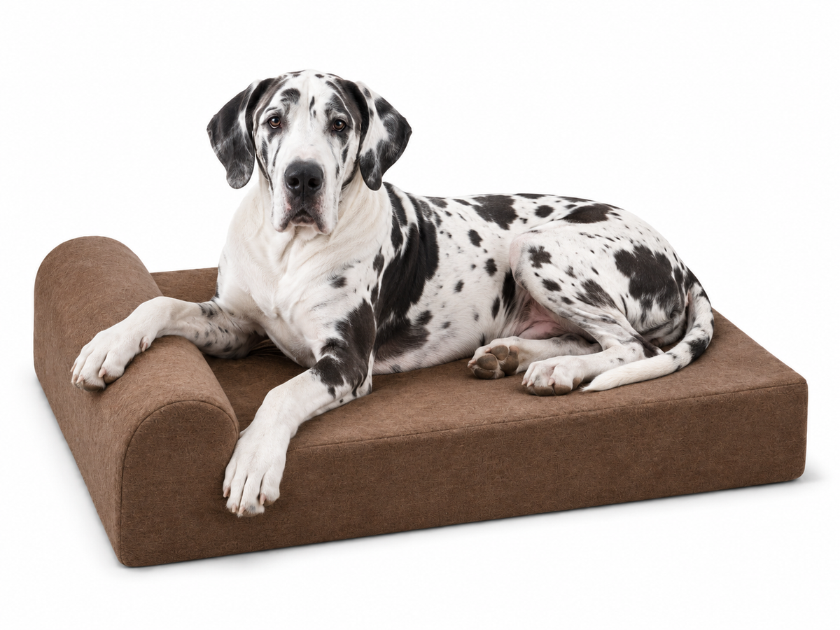Dog resting on a DogAlign bed