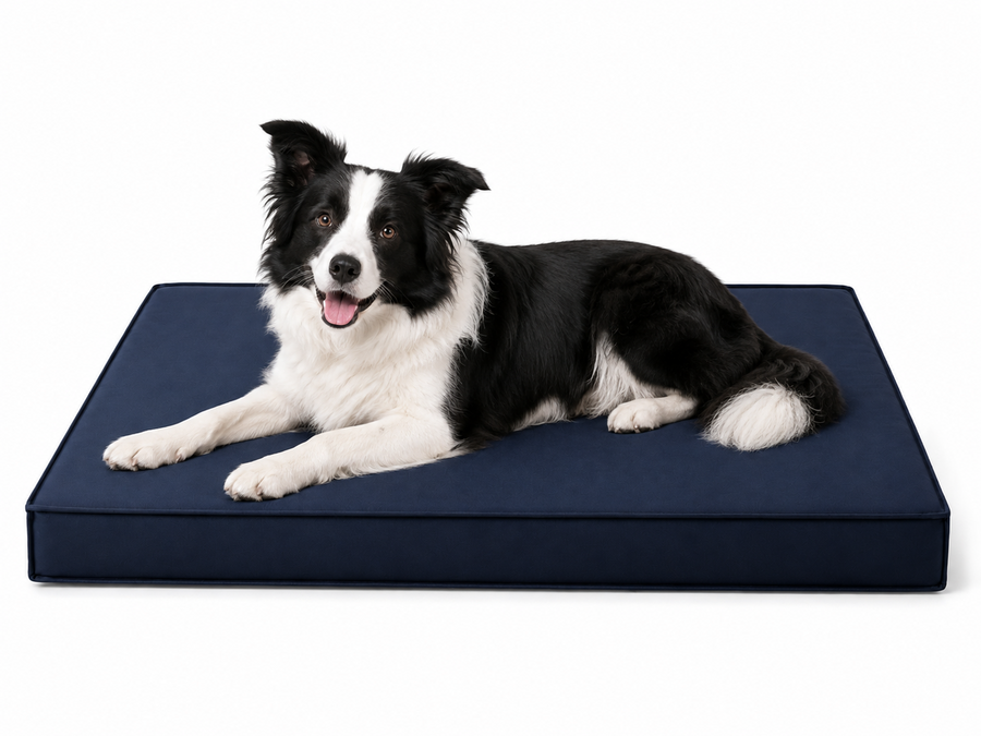 Dog Crate Beds
