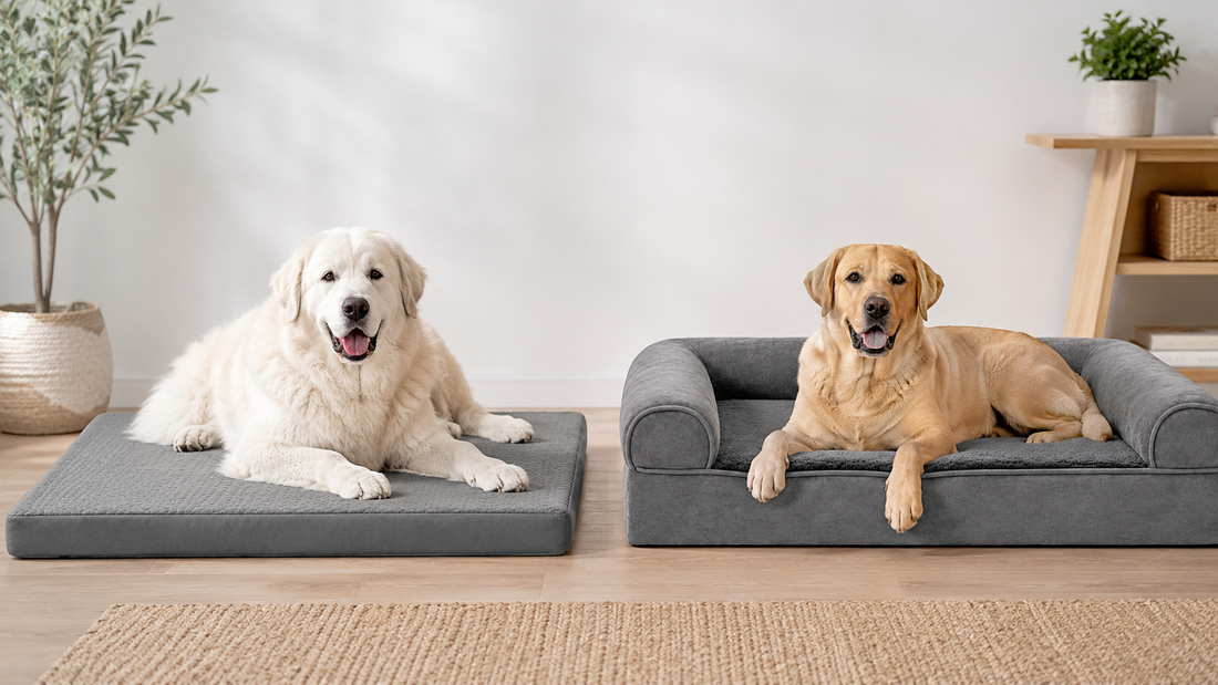 Two large dogs resting on different supportive dog bed styles, one flat and one bolster