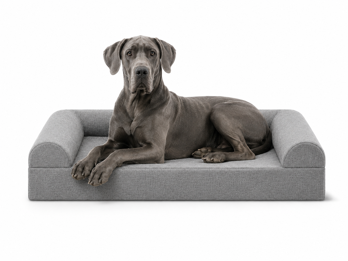 Great Dane resting on a gray three-sided sofa-style orthopedic dog bed