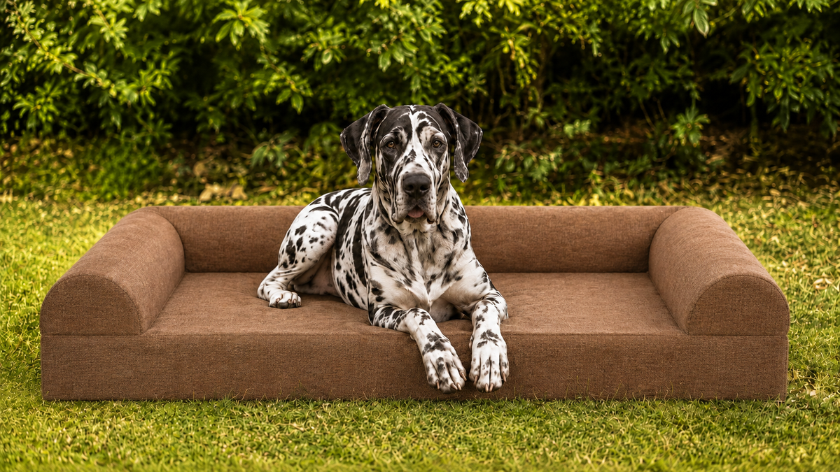 Child relaxing beside a golden retriever on a large brown supportive dog bed
