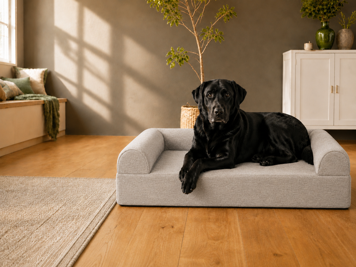 Large dog resting on a three-sided bolster bed