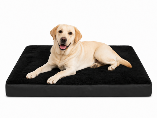 Labrador resting on black plush orthopedic dog crate bed