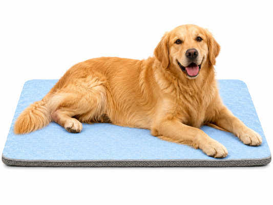 Golden retriever resting on blue DogAlign orthopedic dog crate bed