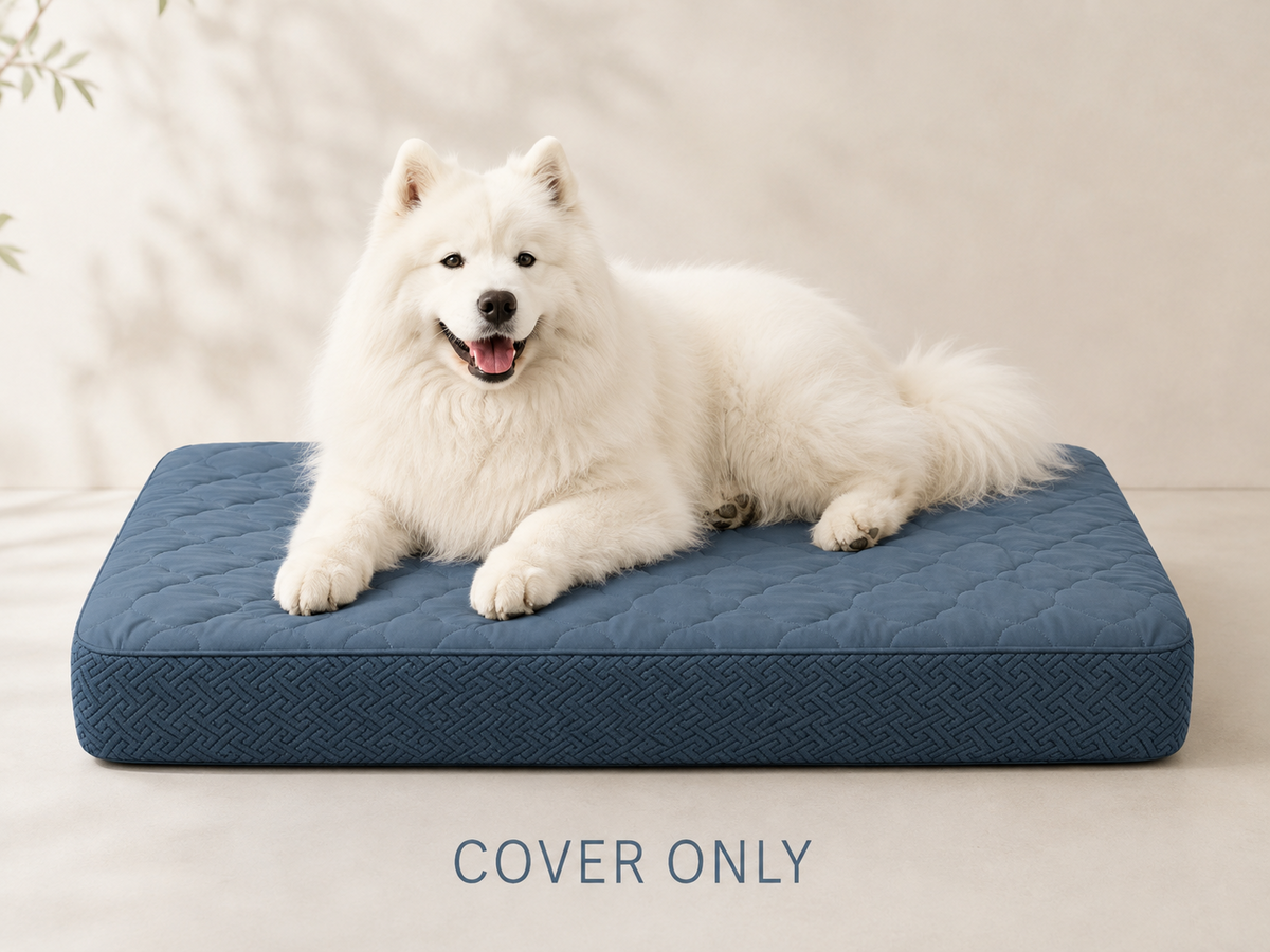 Blue dog bed cover with white dog and cover only label