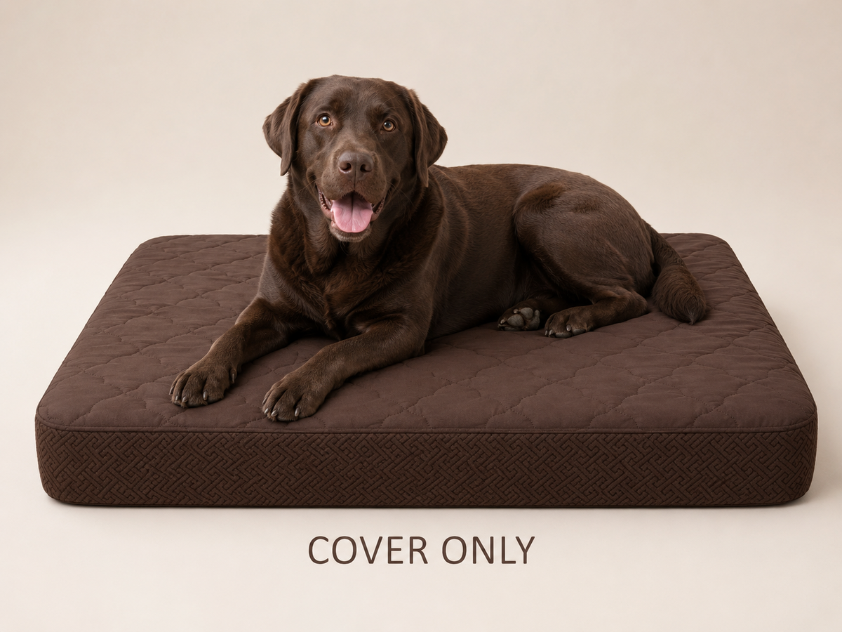 Brown dog bed cover with chocolate Labrador and cover only label