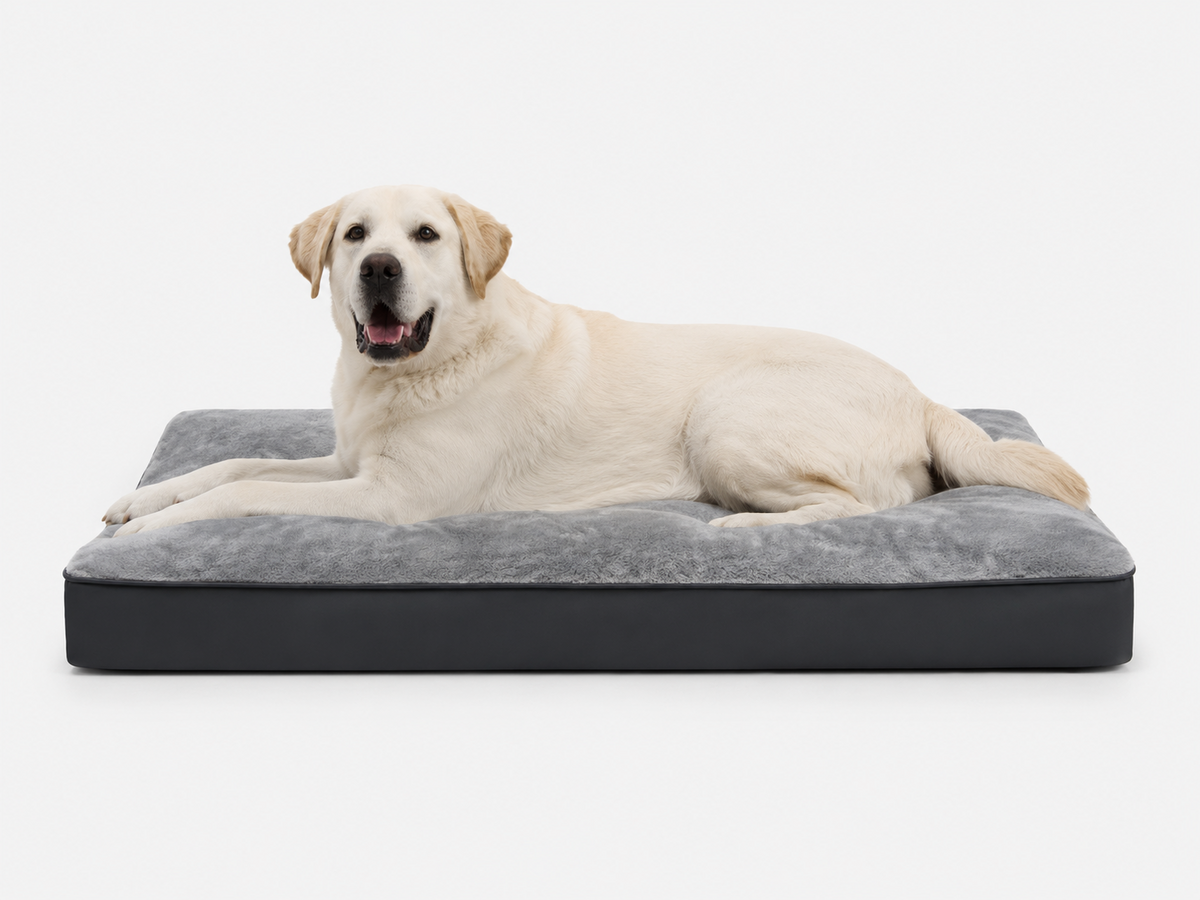 Labrador resting on gray plush orthopedic dog crate bed