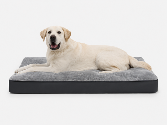 Labrador resting on gray plush orthopedic dog crate bed