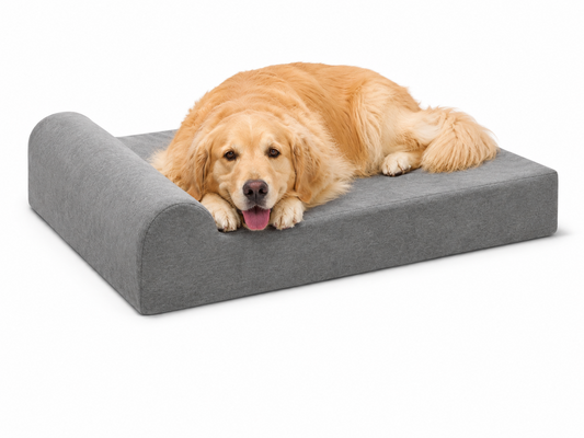 Golden Retriever resting on grey Headrest orthopedic bed in XL