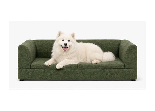 White dog resting on the olive green elevated sofa bed for large dogs