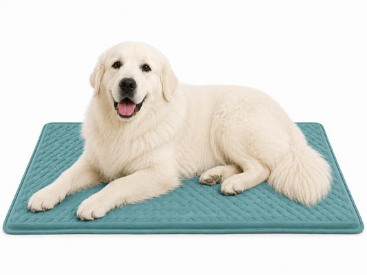 Large white dog resting on teal DogAlign orthopedic crate pad